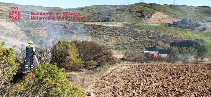 Los bomberos extinguen un incendio de vegetación en Artajona.