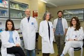 Foto: Investigadores aragoneses participan en un estudio de ingeniera génica para corregir la enfermedad del hígado graso