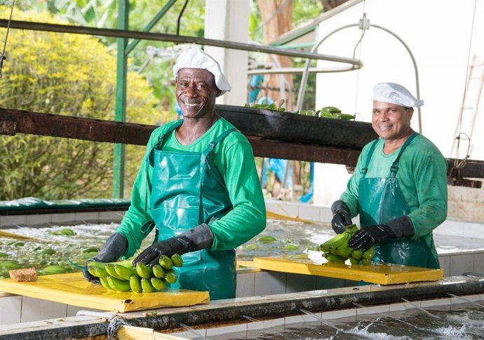 Asociación de Bananeros de Colombia