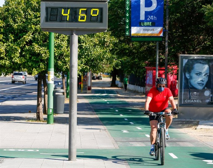 Archivo - Imagen de archivo de la avenida de la Palmera en Sevilla.