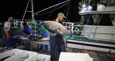 Pesca Galicia