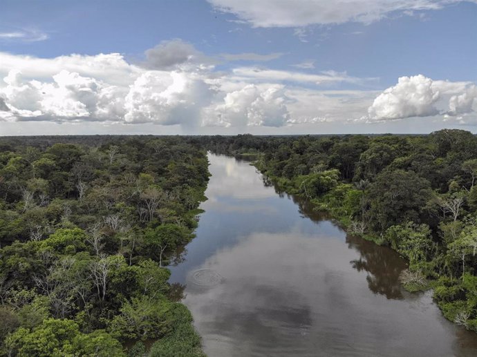 Archivo - Río en la Amazonía