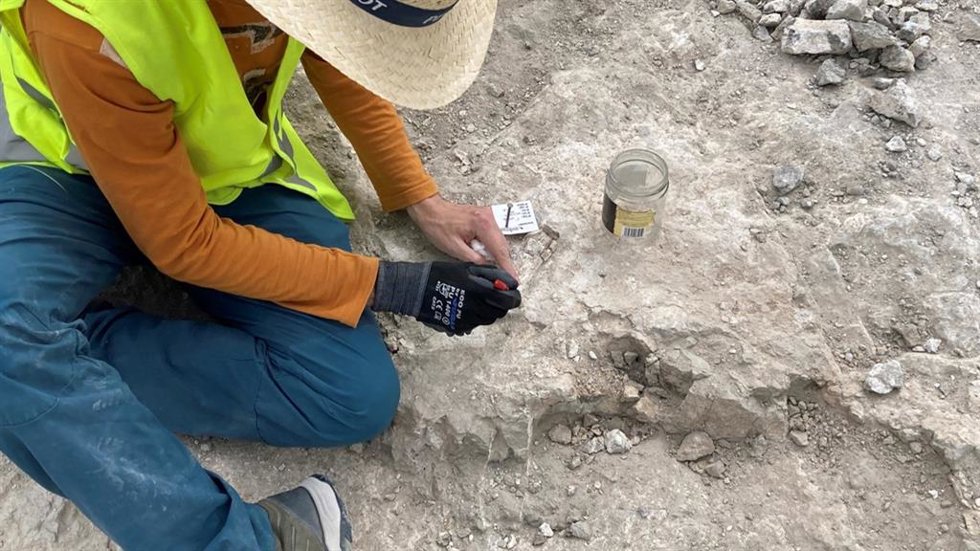 Restos de elefantes primitivos de hace 14 millones de años en el polígono de La Atalayuela