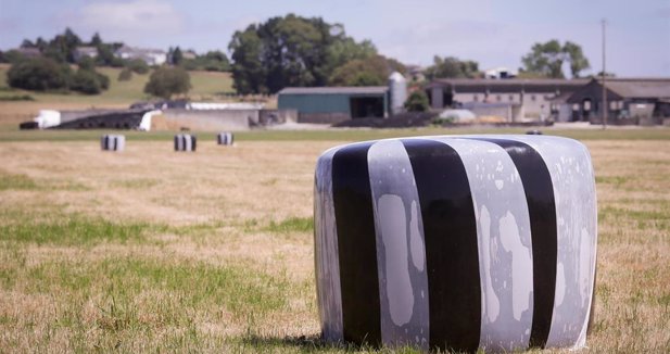 Galicia Rural