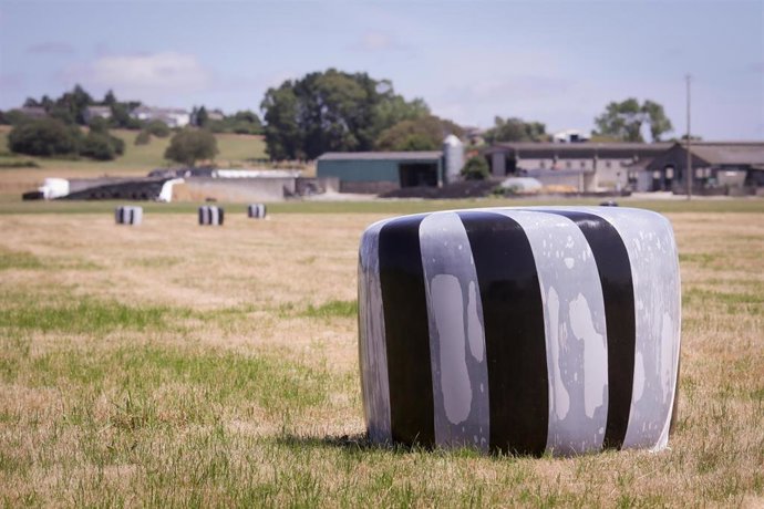 Archivo - d23f8d736160a739b6e5a23b568283bf.jpg