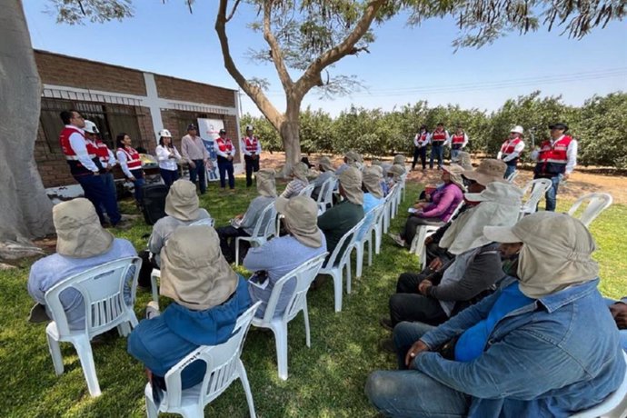 Sunafil brinda orientaciones a trabajadores de agroexportadoras en Ica.