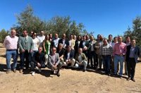 La Diputación de Sevilla participa en el proyecto 'Oleoturismo en España' para establecer rutas del aceite y aceitunas
