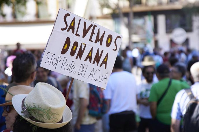 Archivo - Detalle de un cartel durante la manifestación 'En defensa de Doñana' el pasado mayo en Sevilla, foto de archivo