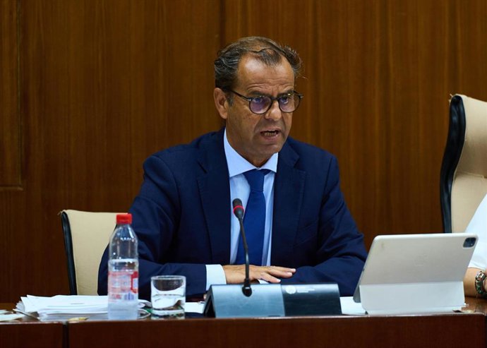 El director general de la RTVA, Juan de Dios Mellado, en comisión parlamentaria.