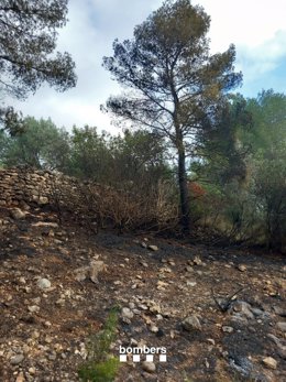 Controlado un incendio de vegetación forestal en Xerta (Tarragona)