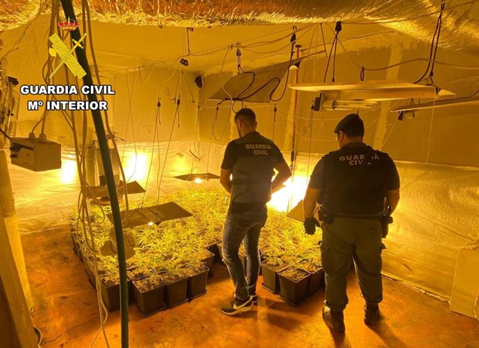 Dos agentes, en la plantación desemantelada.