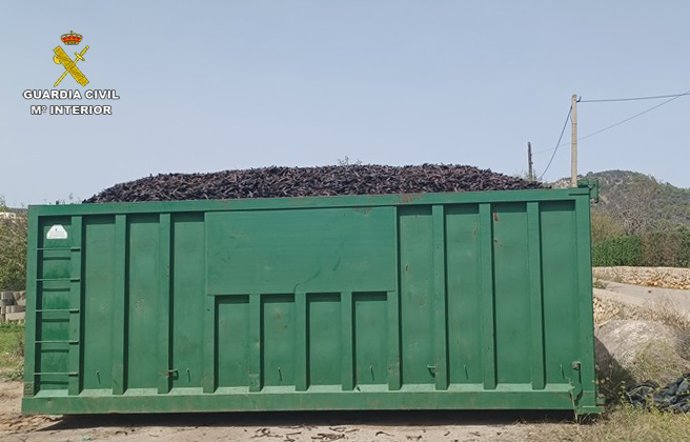 Investigan a un hombre por el robo de 40 toneladas de algarroba.