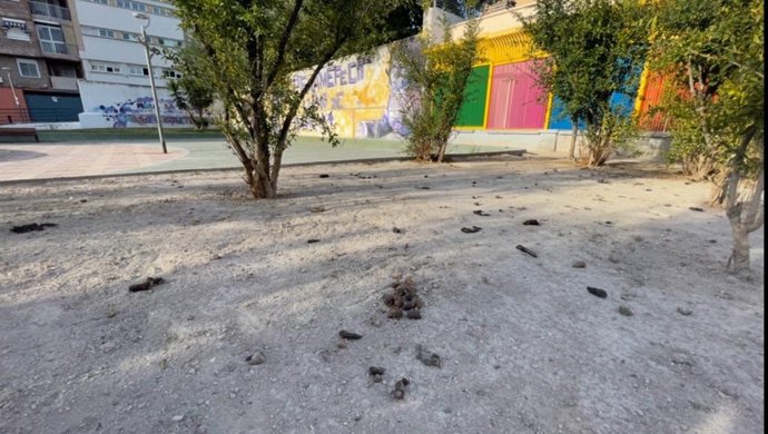 Excrementos caninos en una plaza de Peñamécit
