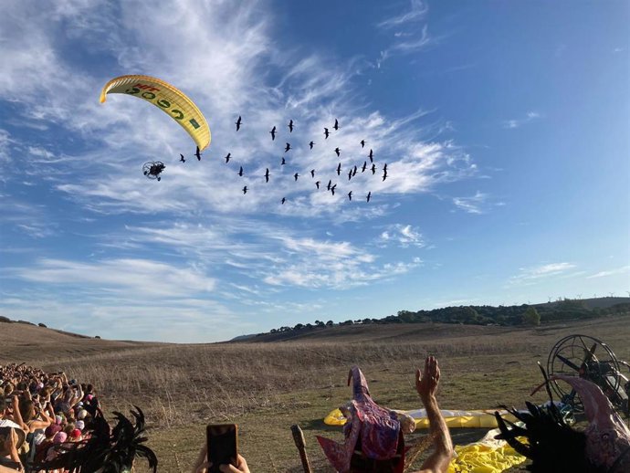 Una treintena de ibis eremitas llegan a Barbate guiados desde Viena por dos ultraligeros