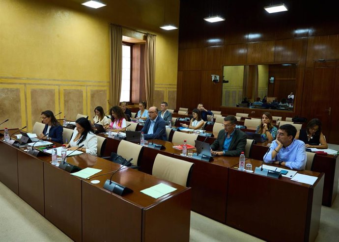 Imagen de este martes de la Comisión de la RTVA con el parlamentario socialista Mario Jiménez en primer término a la derecha de la fotografía.
