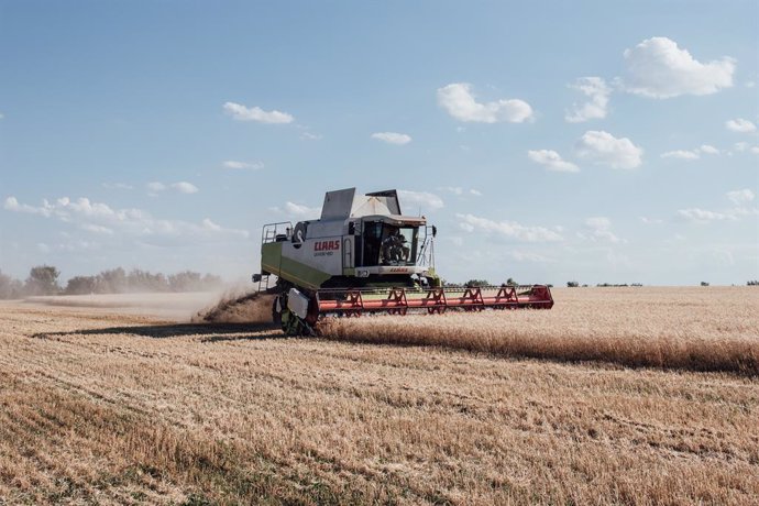 Archivo - July 14, 2022, Liubashivka, Ukraine: A combine harvests wheat. Liubashivka, 14 July 2022.