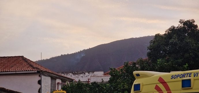 El Cabildo de Tenerife ha informado hoy miércoles de la declaración de un conato de incendio en la zona de Pino Alto, entre los municipios de Santa Úrsula y La Orotava.
