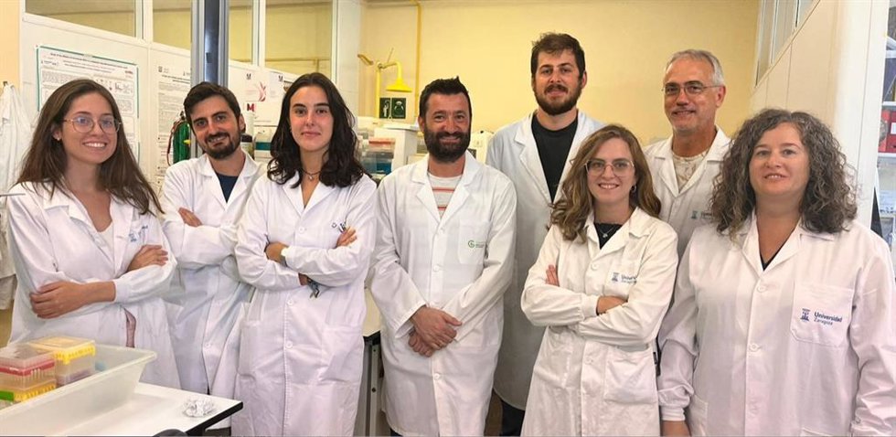 Investigadores de la UZ descubren una terapia eficaz frente a tumores de pulmón, basada en la vacuna viva de la tuberculosis, la BCG. Silvia Calvo, Miguel Araujo, Marta Casal, Nacho Aguiló, Eduardo Moreo, Claudia Guerrero, Santiago Uranga, Ana Belén Góm