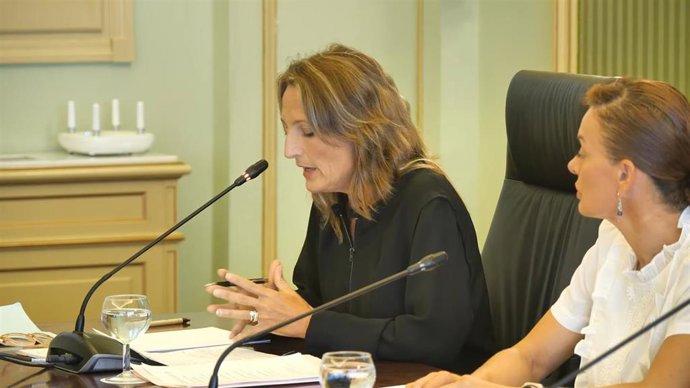 La directora general de Trabajo y Salud Laboral, Catalina Cabrer.