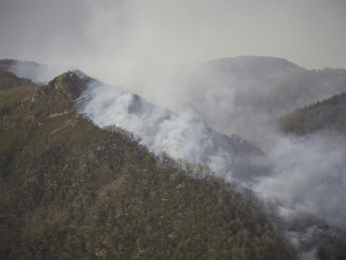 Archivo - Foto de archivo del incendio forestal en Bera de Bidasoa en febrero de 2021.