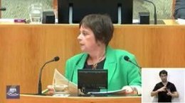 La diputada de IU, Henar Moreno