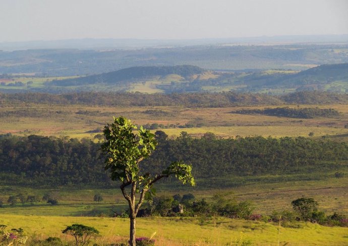 Sabana