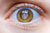 Foto: Consejos para una adecuada salud ocular