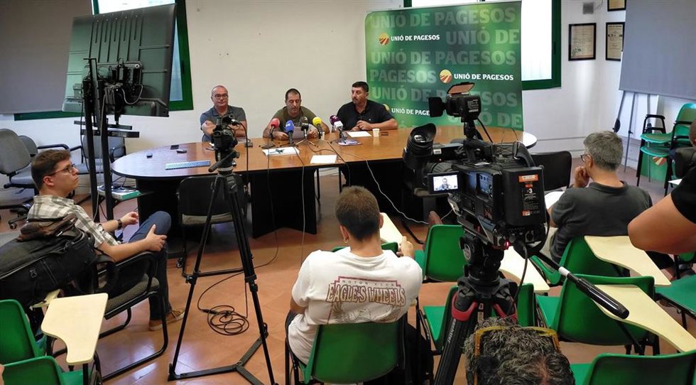 El responsable de aceite de Unió de Pagesos, Jordi Pascual; el responsable de sectores agrícolas, Miquel Piñol, y el miembro de la sectorial de aceite del sindicato Josep Maria Barrull