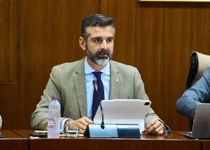El consejero de Sostenibilidad, Medio Ambiente y Economía Azul, Ramón Fernández-Pacheco, en comisión parlamentaria