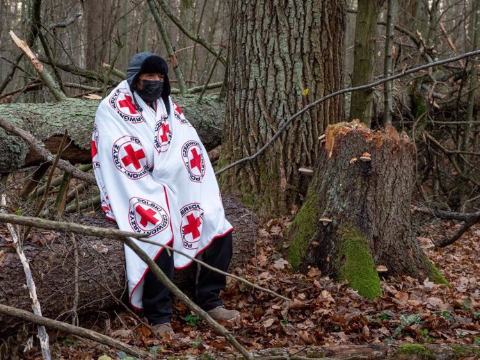 Archivo - November 9, 2021, Narewka, Poland: An elderly man from Dohuk sits on a tree trunk and covers himself with the Red Cross blanket provided by Grupa Granica organization..A refugee family of seventeen, including nine children from Dohuk, Iraq, spen