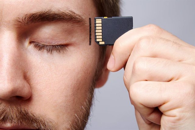 Dimetilglicina DMG para la salud cognitiva.
