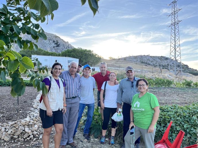 Talleres de huerto ecológico.
