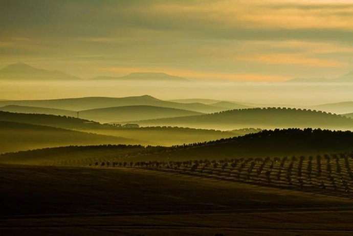 La Consejería de Sostenibilidad convoca los XXVII Premios Andalucía de Medio Ambiente