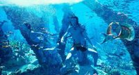 Dos nuevas especies confirmadas en Avatar 3 de James Cameron