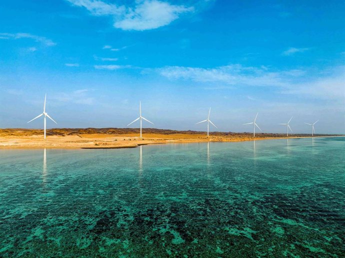 27-Megawatt (MW) Wind Farm Located On Delma Island In Abu Dhabi, UAE