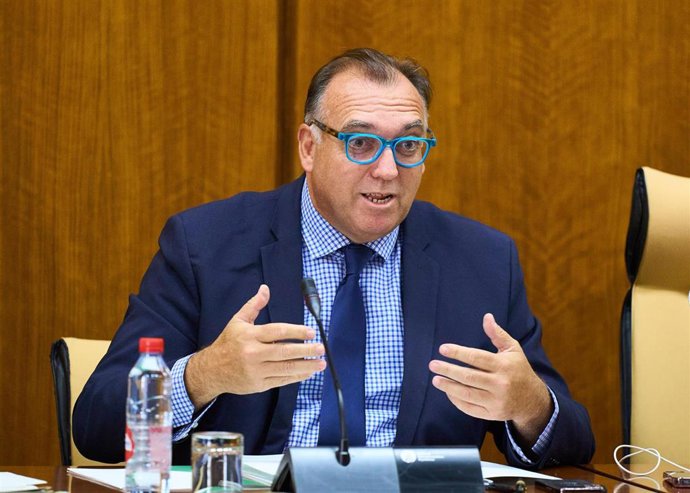 El consejero de Turismo, Cultura y Deporte, Arturo Bernal, en comisión.