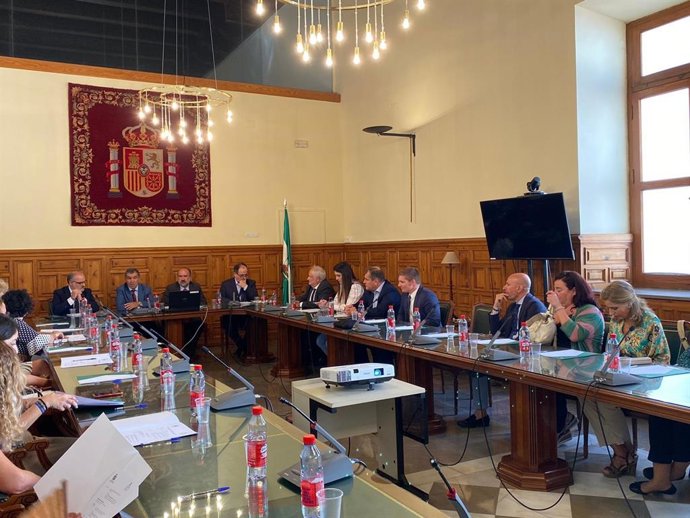 Imagen de archivo del curso para jueces celebrado recientemente en la sede del TSJA en Granada sobre los derechos de las personas con discapacidad en la administración de Justicia.