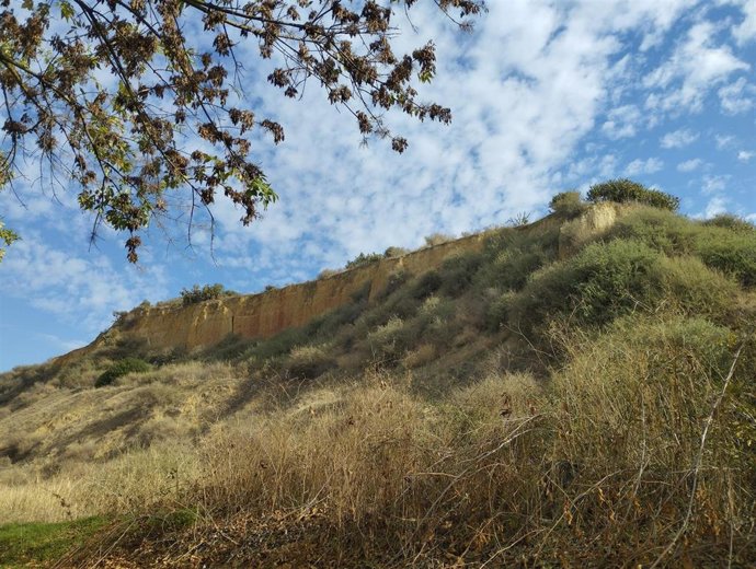 Archivo - Ladera de el Cabezo de El Conquero.