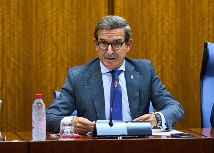 El consejero de Industria, Energía y Minas, Jorge Paradela, en comisión parlamentaria.