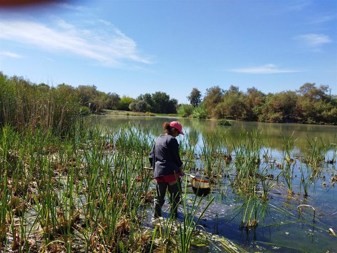 Laguna de Fuente del Rey