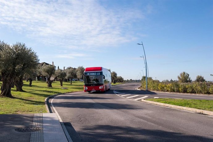 Archivo - Sevilla.-Casi 130.000 usuarios de los autobuses urbanos de Dos Hermanas en el primer trimestre, un 74% más que en 2022