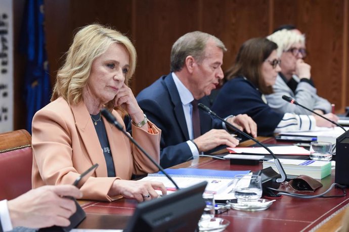 Archivo - La presidenta interina del Consejo de Administración de la Corporación RTVE, Elena Sánchez Caballero (i), y el presidente de la Comisión Mixta de Control Parlamentario de la Corporación RTVE y sus Sociedades, Antonio José Cosculluela (2i), dur