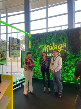 La diputada de Desarrollo Económico Sostenible, Esperanza González, informa sobre la participación de la marca Málaga de Moda en eventos