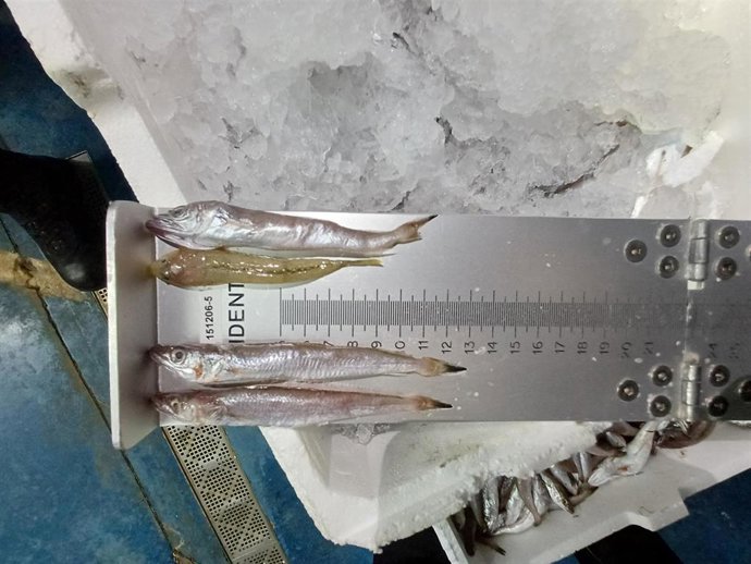 Ejemplares intervenidos.