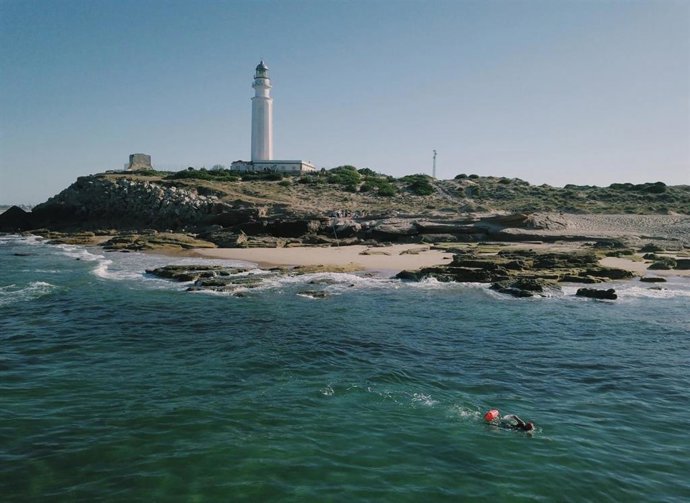 Archivo - Un nadador entrenando por el cabo Trafalgar en Cádiz. (Foto de archivo).