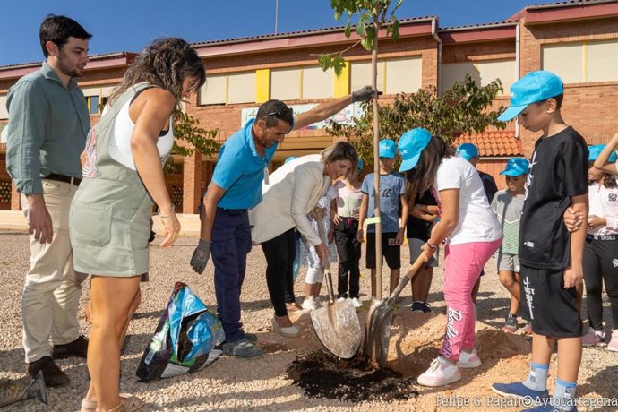 El Ayuntamiento de Cartagena plantará este curso 2023-2024 un total de 110 árboles en 41 colegios del municipio