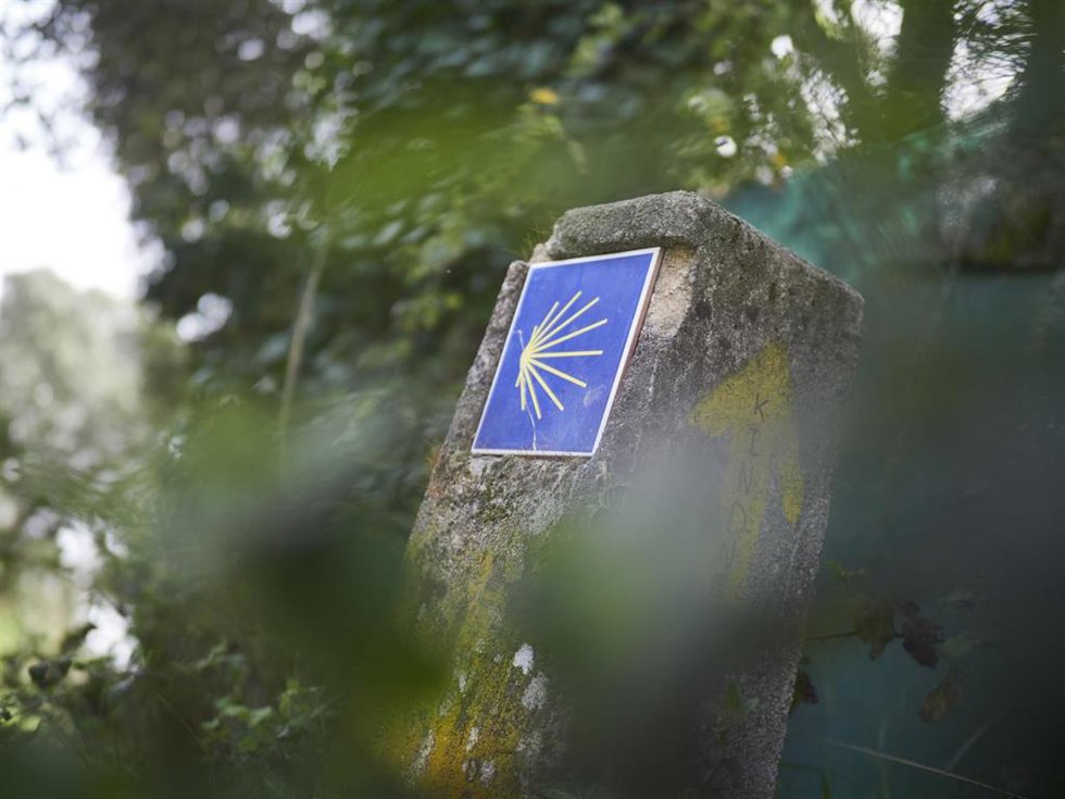 Archivo - Indicaciones del amino de Santiago en la ruta francesa a su paso por Navarra.