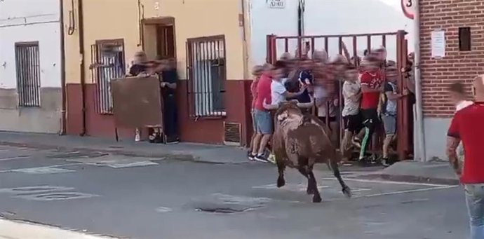 Herido un hombre tras sufrir una cornada en el toro de la vendimia de Rueda (Valladolid)