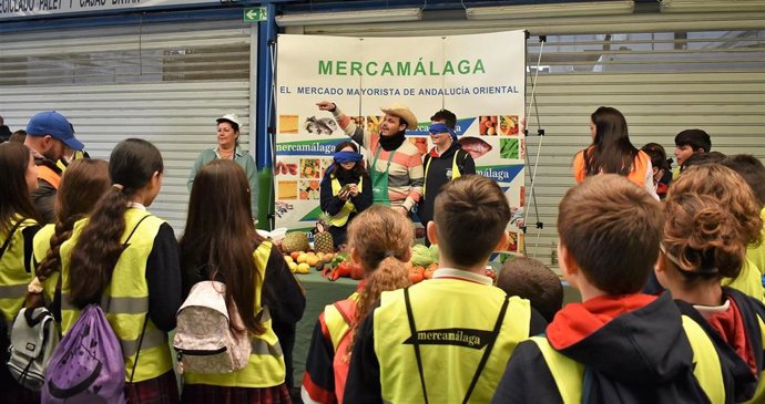 Visitas de escolares a Mercamálaga