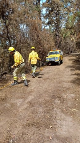 Efectivos trabajando contra reactivaciones en el incendio de Tenerife